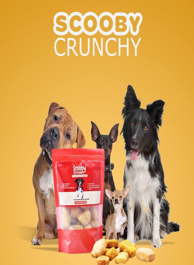 Scooby Cheww Yak Cheese Dog Biscuits | 100% Natural & Vegetarian | Delicious Crunchy Treats for Dental Hygiene and Long-Lasting Chewing | 200G Pack of Crunchy Puffs,All Life Stages - Image 4