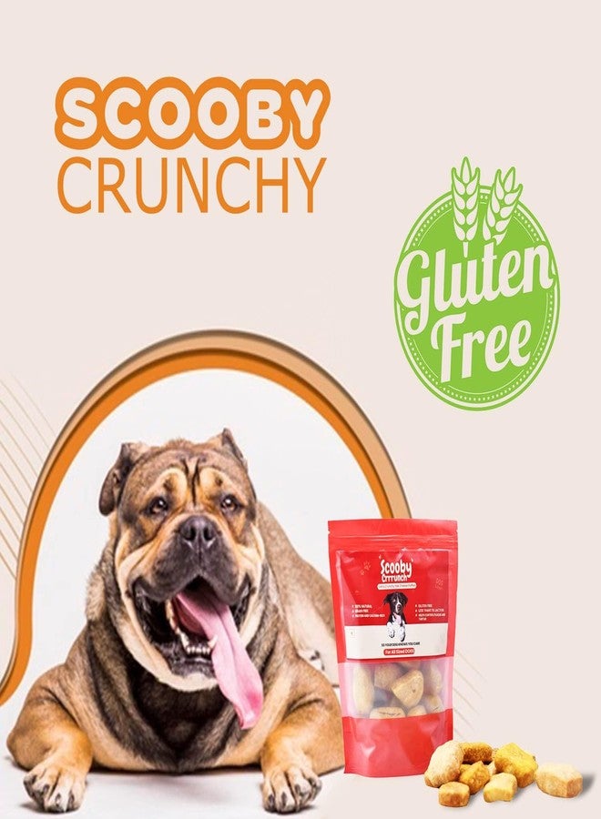 Scooby Cheww Yak Cheese Dog Biscuits | 100% Natural & Vegetarian | Delicious Crunchy Treats for Dental Hygiene and Long-Lasting Chewing | 200G Pack of Crunchy Puffs,All Life Stages - Image 3