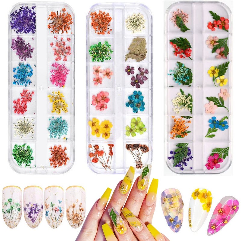 KINGMAS 36 Colors Dried Flowers for Nail Art, 3 Box Dry Flowers Mini Real Natural Flowers Nail Art Supplies 3D Applique Nail Decoration Sticker Decor (A/C/E) - Image 1