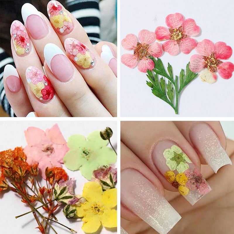 KINGMAS 36 Colors Dried Flowers for Nail Art, 3 Box Dry Flowers Mini Real Natural Flowers Nail Art Supplies 3D Applique Nail Decoration Sticker Decor (A/C/E) - Image 5