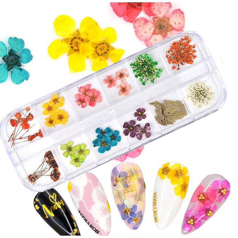 KINGMAS 36 Colors Dried Flowers for Nail Art, 3 Box Dry Flowers Mini Real Natural Flowers Nail Art Supplies 3D Applique Nail Decoration Sticker Decor (A/C/E) - Image 4