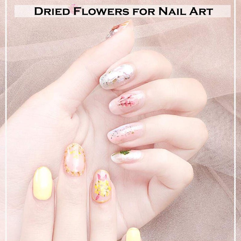 KINGMAS 36 Colors Dried Flowers for Nail Art, 3 Box Dry Flowers Mini Real Natural Flowers Nail Art Supplies 3D Applique Nail Decoration Sticker Decor (A/C/E) - Image 3