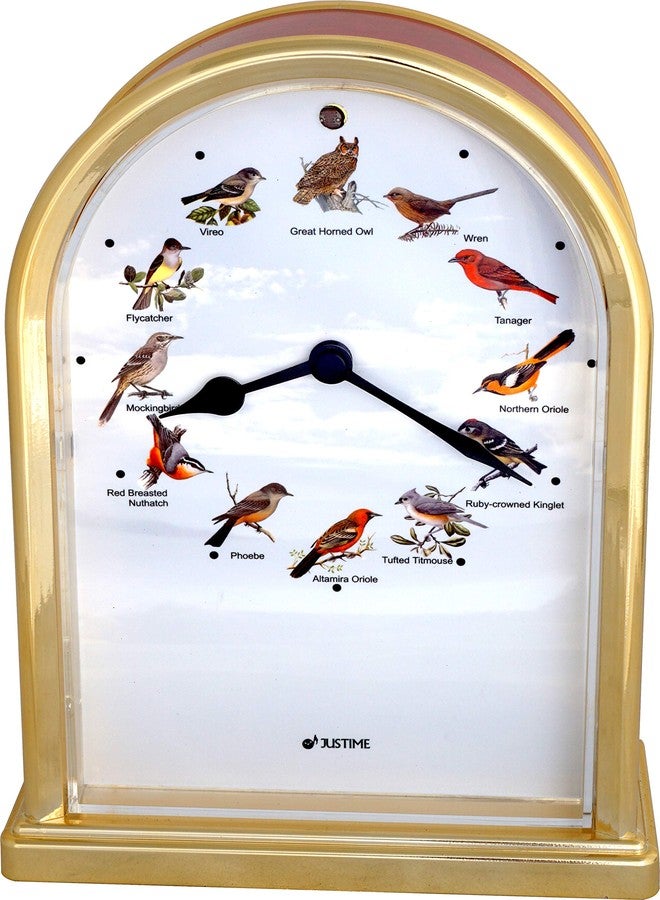 جست تايم ساعة طاولة على شكل بومة من مجموعة JUSTIME الجميلة، ارتفاعها 7.5 بوصة، تعزف 12 أغنية طيور شهيرة، ديكور منزلي متعدد الألوان، هدية فريدة (TCBD-O-RM-G) - Image 2