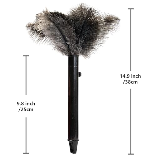 iHUFeather Retractable Ostrich Feather Duster for Cleaning, Fluffy and Natural Feather Duster with Retractable Handle， Reusable Eco-Friendly Handheld Cleaning Supplies (15 inch) - Image 2