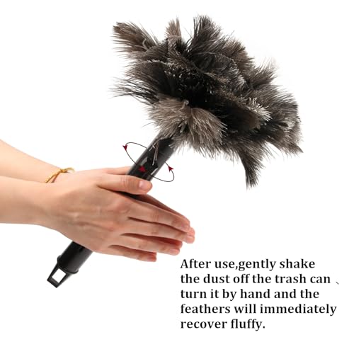 iHUFeather Retractable Ostrich Feather Duster for Cleaning, Fluffy and Natural Feather Duster with Retractable Handle， Reusable Eco-Friendly Handheld Cleaning Supplies (15 inch) - Image 4
