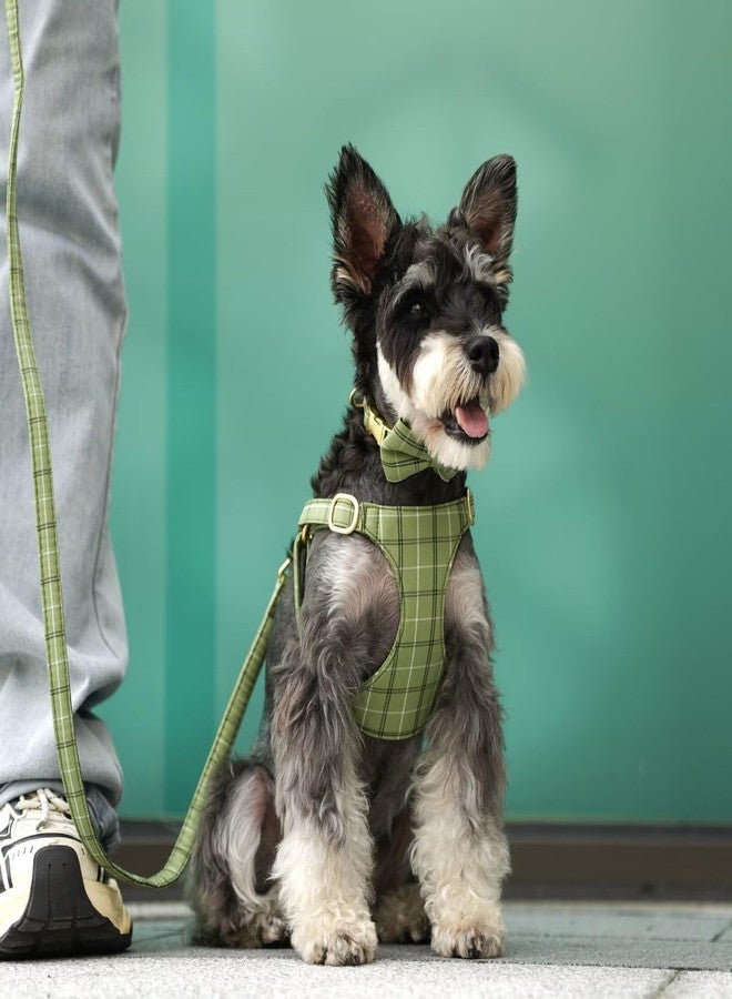 Beirui Cute Small Dog Harness Collar and Leash Set with Bowtie, Soft Adjustable Plaid Puppy Harness for Small Sized Dogs Cats Walks Parties and Photoshoots(Green,S:Chest 17-23") - Image 3