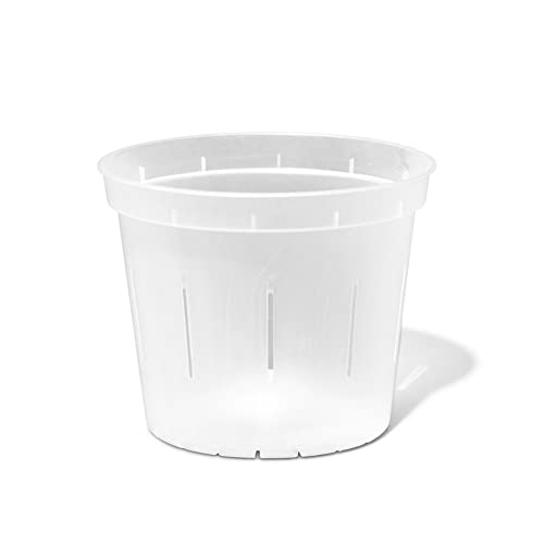 rePotme Orchid Pot - 6 inch Slotted Clear Orchid Pots - 3 Pack (Crystal Clear) - Image 1