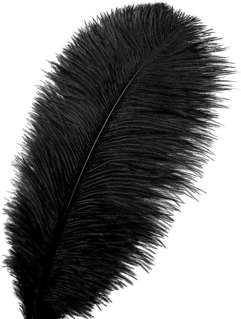 Ballinger Black Large Ostrich Feathers - 24Pcs 12-14inch Large Feathers for Vase,Gatsby and Halloween Party Centerpieces - Image 2