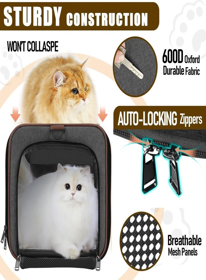 GAPZER Small Dog Carrier Cage Soft Chihuahua / Softshell Big Cat Carrier Maine Coon / Pet Taxi Carrying Bag over 25lbs / Top Loader Travel Kennel Brown - Image 2