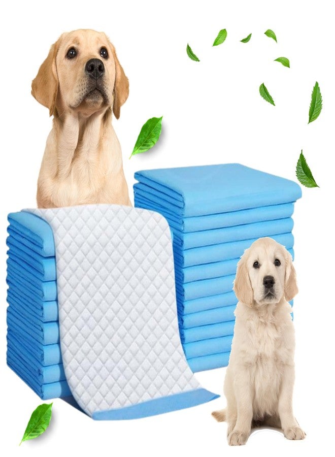 C-Cure Dog Pee Pads | Pack of 50 | 60x60 cm Disposable Pet Training Pads for Puppies, Adult Dogs & Cats | Leak-Proof, Quick-Dry, 5-Layer Absorbent Core with Adhesive Floor Tape - Image 1
