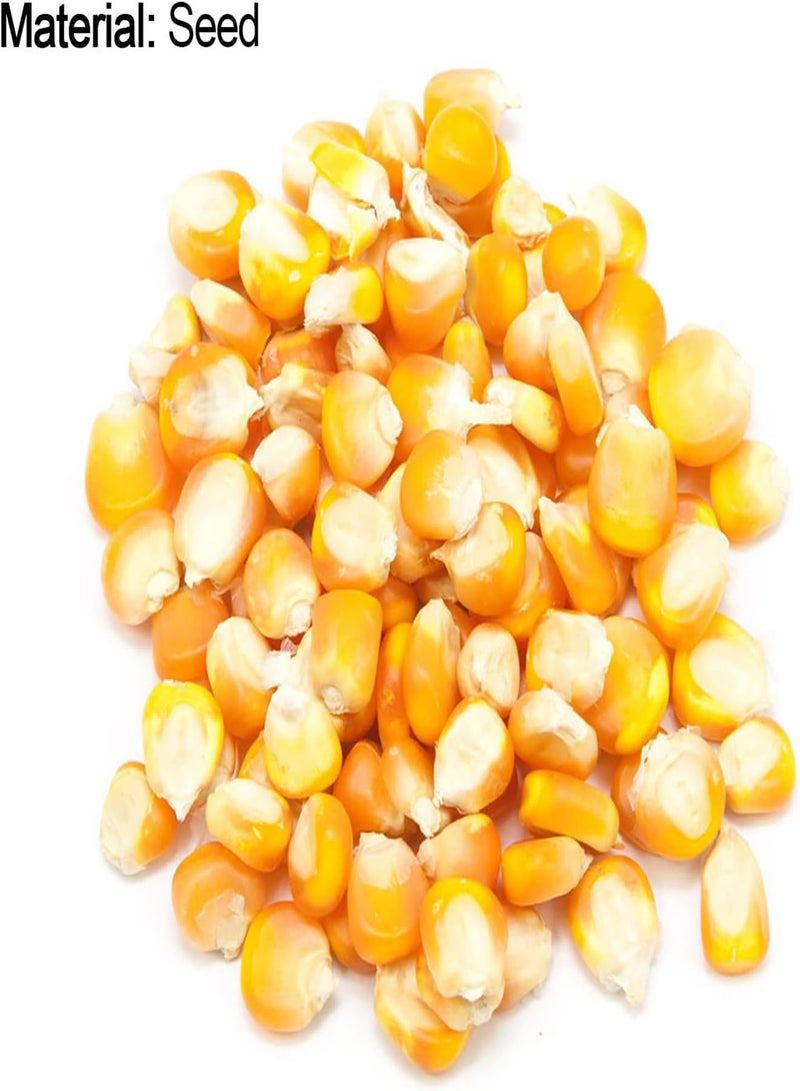 GGOOT Plant Seeds Flower Seeds40Pcs/Bag Corn Seeds Natural Dietary Fiber Yellow Home Garden Vegetable Seedlings for Yard Garden Seedlings for Food - Image 2