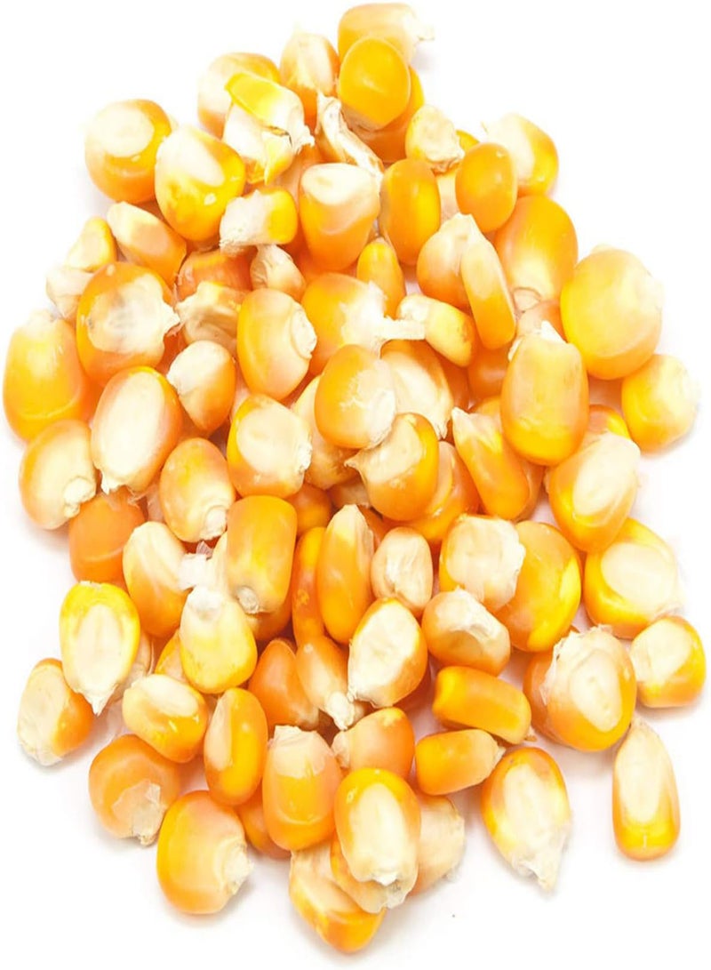 GGOOT Plant Seeds Flower Seeds40Pcs/Bag Corn Seeds Natural Dietary Fiber Yellow Home Garden Vegetable Seedlings for Yard Garden Seedlings for Food - Image 5