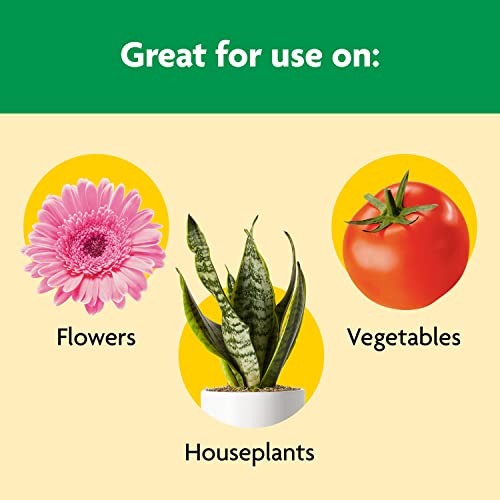 Miracle-Gro Shake 'N Feed All Purpose Plant Food, For In-Ground and Container Plants, Feeds for up to 3 Months, 1 lb. - Image 4