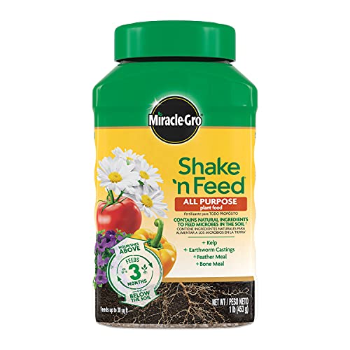 Miracle-Gro Shake 'N Feed All Purpose Plant Food, For In-Ground and Container Plants, Feeds for up to 3 Months, 1 lb. - Image 1