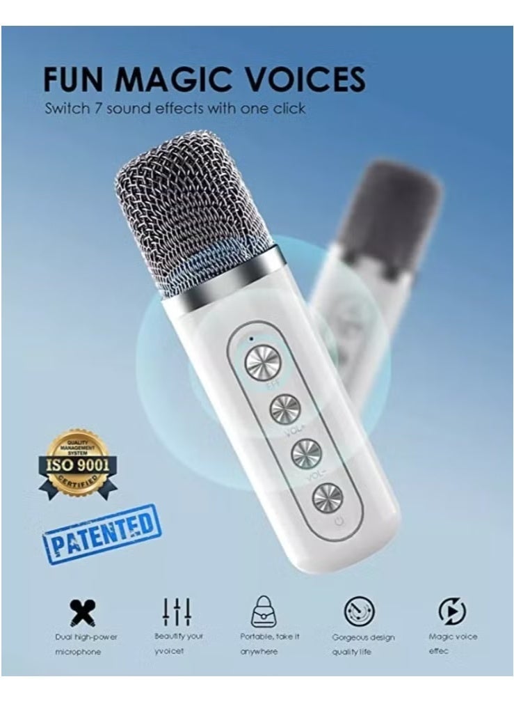 YS-219 Bluetooth Karaoke Speaker System with Dual Wireless Microphones – Powerful and Portable Sound System with Deep Bass, Vocal Effects, USB/TF Card Playback, AUX Input, and Rechargeable Battery – Ideal for Outdoor Parties, Events & Gatherings Silver - Image 3