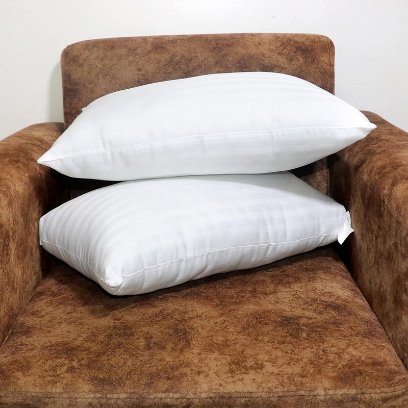 Hoolloomooloo Rectangular 12x20 Inches Cushion Set of 2 Microfiber Hotel Quality Premium Fibre Soft Decorative Throw Hypoallergenic Lumbar Pillow Inserts Filler 30x51 cms White