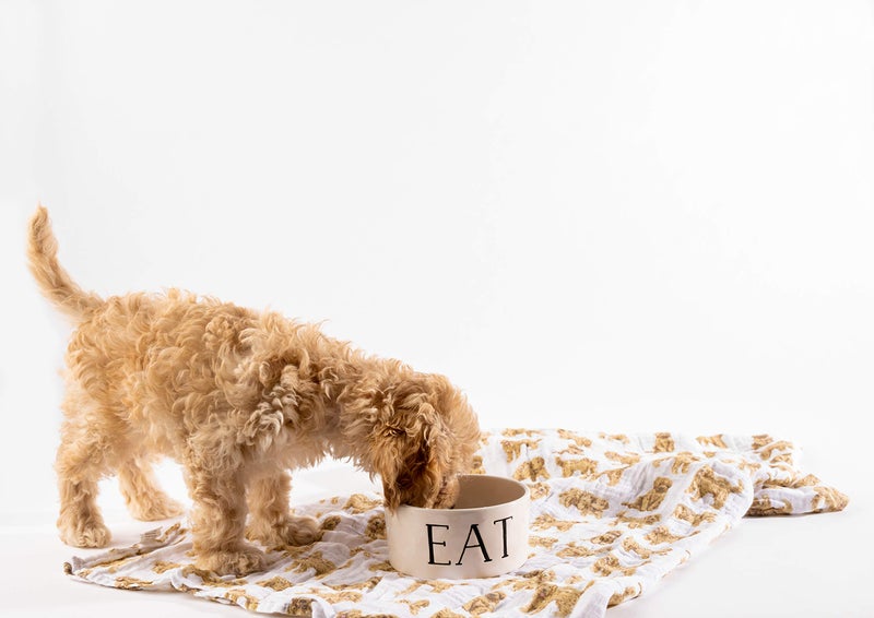 Mud Pie Golden Doodle Print Baby Swaddle Blanket, 47" x 47", - Image 5