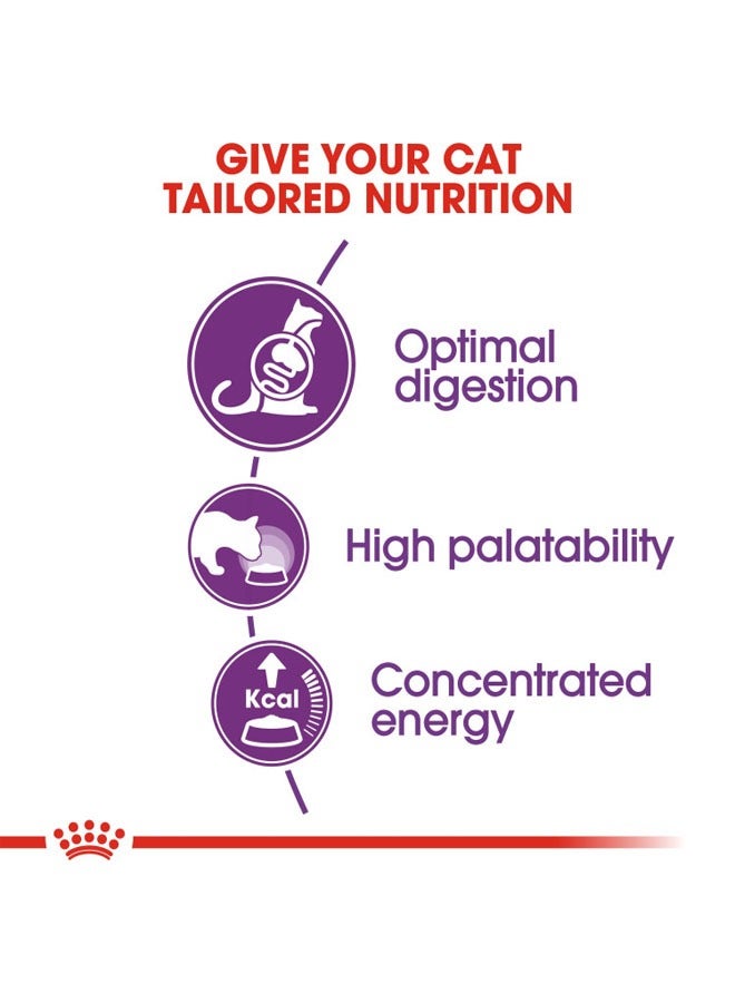 ROYAL CANIN Feline Health Nutrition Sensible 2 KG - Image 5