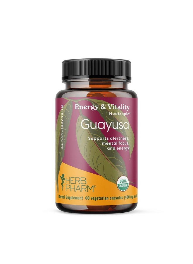 Herb Pharm USDA Organic Nootropic Guayusa Capsules | Brain Supplements for Focus, Herbal Nootropic & Energy Support| 60 Vegan Capsules, 30 Day Supply* - Image 1
