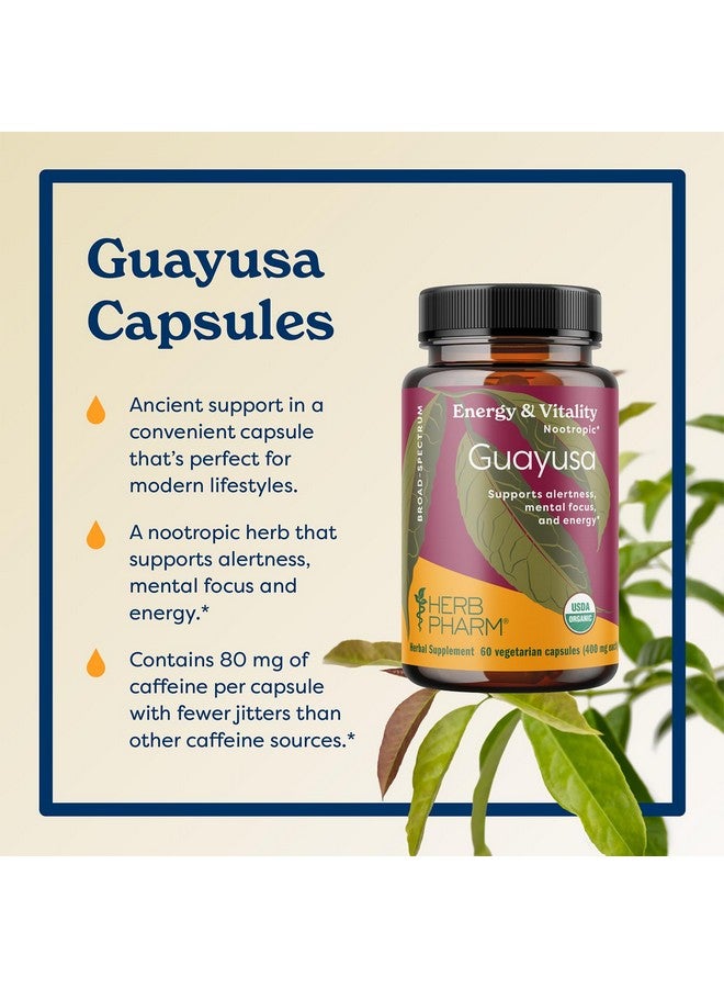 Herb Pharm USDA Organic Nootropic Guayusa Capsules | Brain Supplements for Focus, Herbal Nootropic & Energy Support| 60 Vegan Capsules, 30 Day Supply* - Image 2