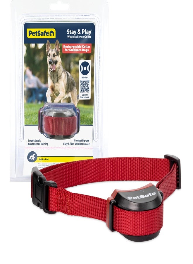 PetSafe Stay & Play Wireless Fence Receive Collar for Stubborn Dogs - Rechargeable & Waterproof Receiver Collar with Quick Charge in 2-3 Hours - for Dogs 5lb+ - Image 1