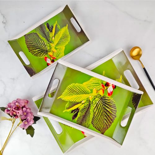 UPC U.P.C. Tray Set for Serving/Melamine Tray for Serving Set of 3 Large, Medium and Small Size Villori Series Tray, Rectangular? (Tray-Vil04) - Image 2