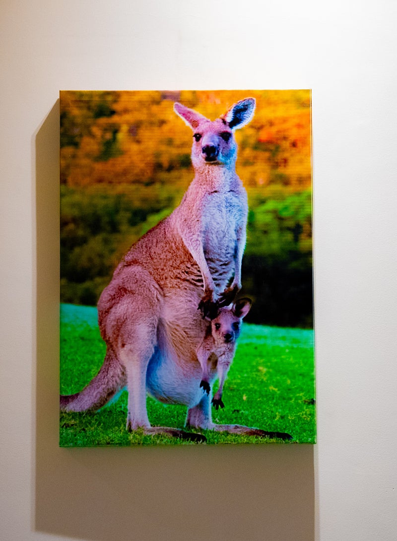 Mother Kangaroo Canvas Wall Frame - Image 1