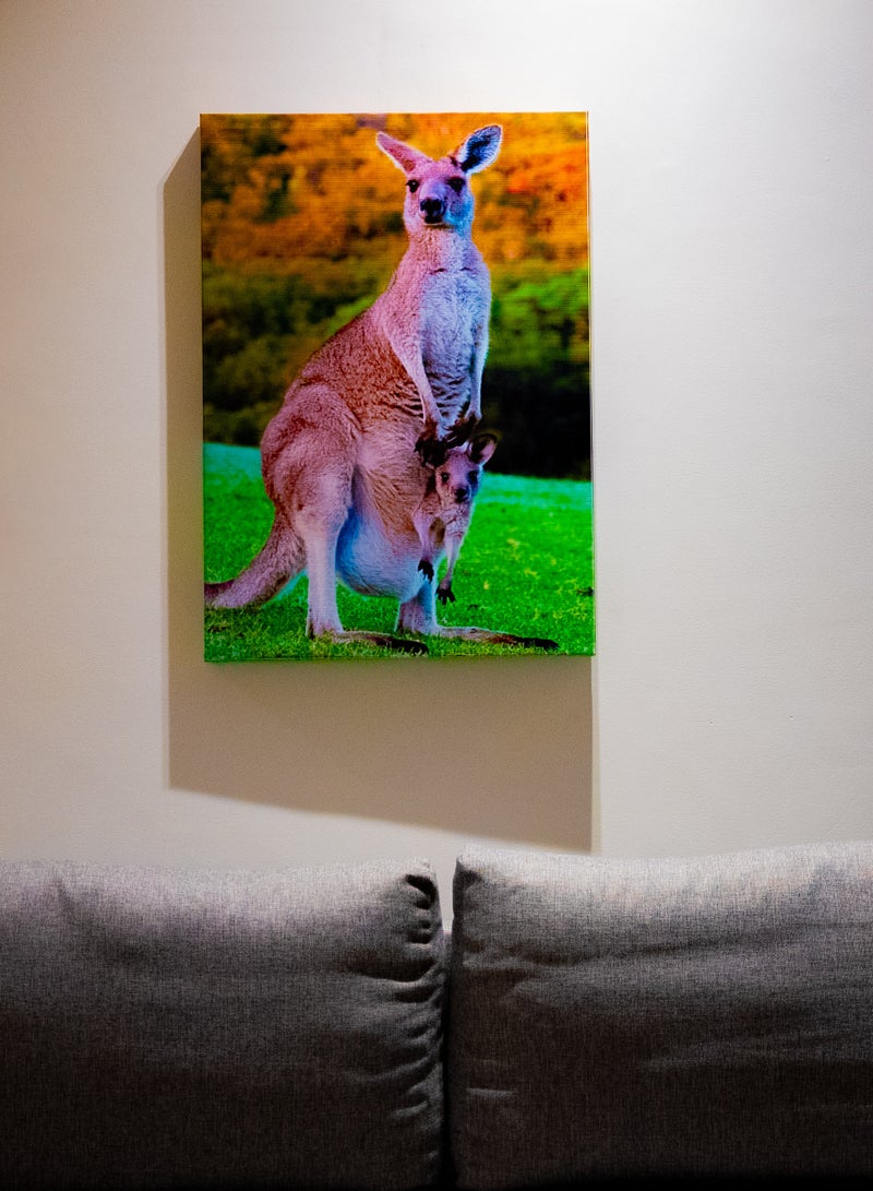 Mother Kangaroo Canvas Wall Frame - Image 2