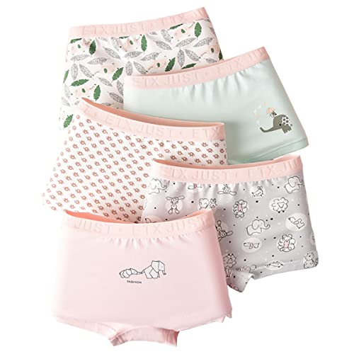 Blueleyu Girls Underwear Cotton Girls Boxer Briefs Comfort Breathable Little/Big Girl Shorts Briefs For 2-16 YRS, 5 of Pack (Gb047), 12-14 Years - Image 1
