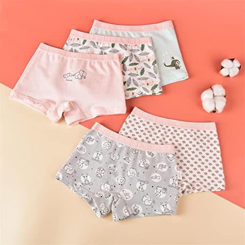 Blueleyu Girls Underwear Cotton Girls Boxer Briefs Comfort Breathable Little/Big Girl Shorts Briefs For 2-16 YRS, 5 of Pack (Gb047), 12-14 Years - Image 2