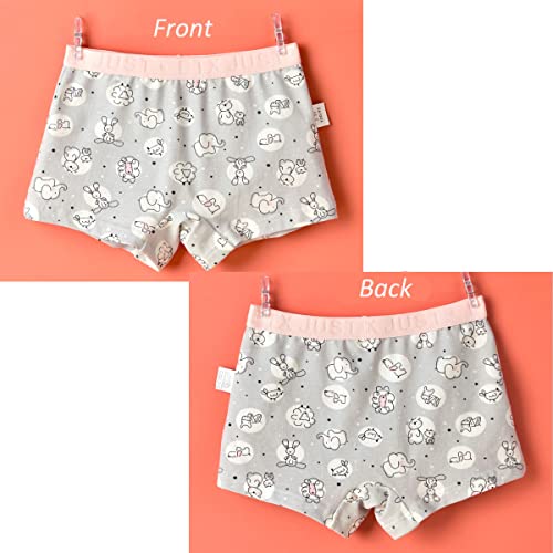 Blueleyu Girls Underwear Cotton Girls Boxer Briefs Comfort Breathable Little/Big Girl Shorts Briefs For 2-16 YRS, 5 of Pack (Gb047), 12-14 Years - Image 3