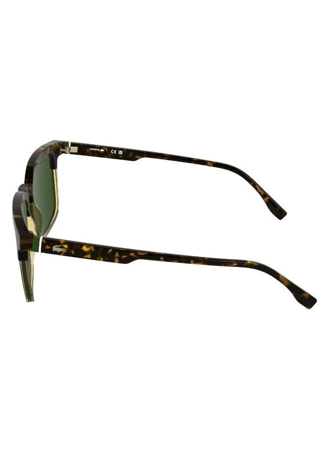LACOSTE  Rectangle Sunglasses for Men | Best Price UAE