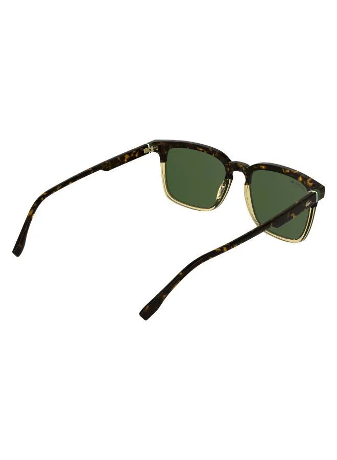LACOSTE  Rectangle Sunglasses for Men | Best Price UAE