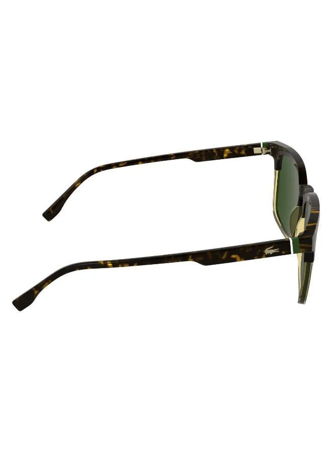 LACOSTE  Rectangle Sunglasses for Men | Best Price UAE