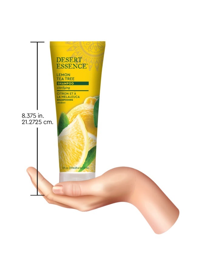 طقم عبوات شامبو بخلاصة شجر الشاي والليمون من قطعتين - Image 1