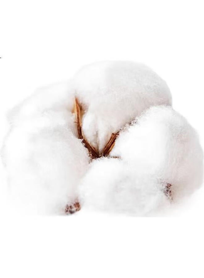 HINCLOUD 7 Disposable Women'S Underwear, Portable, 100% Cotton, No-Wash, Travel-Friendly, Colorful Triangle Style (7-Pack), Xxl Size - Image 3