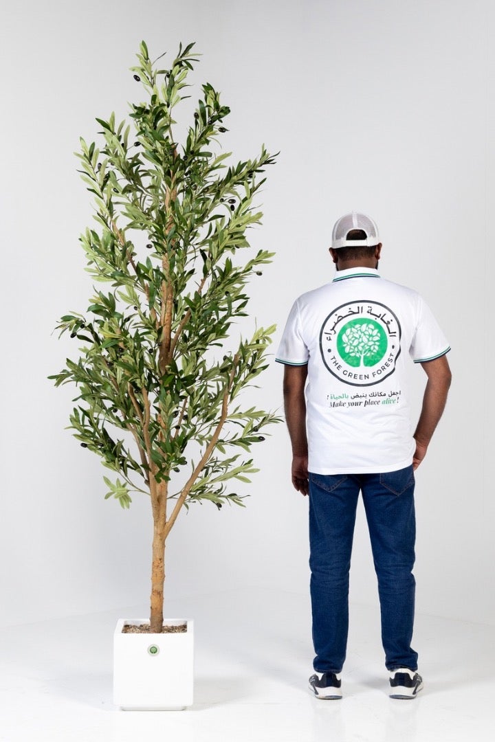 The Green Forest Hight 2.20m , Big Artificial Olive Tree With Real Trunk And Silk Cloth Olive Leaves , Including a luxury Planter Off White Color  - Image 1