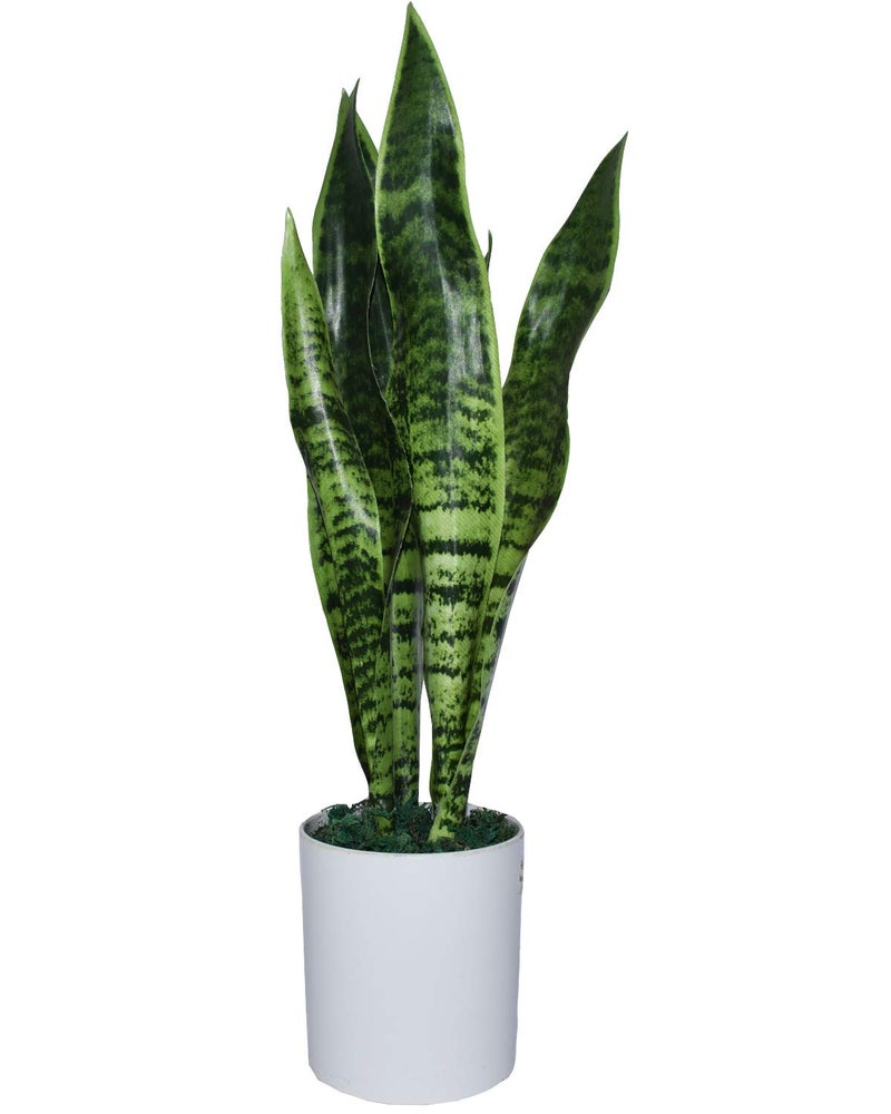 Fourwalls Fourwalls Artificial Sansevieria Snake Plant with Pot for Home and Office Dcor 45 cm Tall Green 