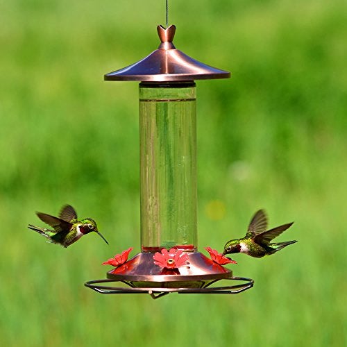 Perky-Pet 710B Elegant Glass Hummingbird Feeder, Copper - Image 4