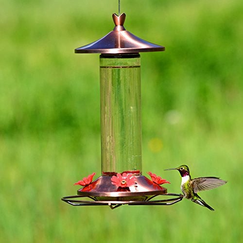 Perky-Pet 710B Elegant Glass Hummingbird Feeder, Copper - Image 2