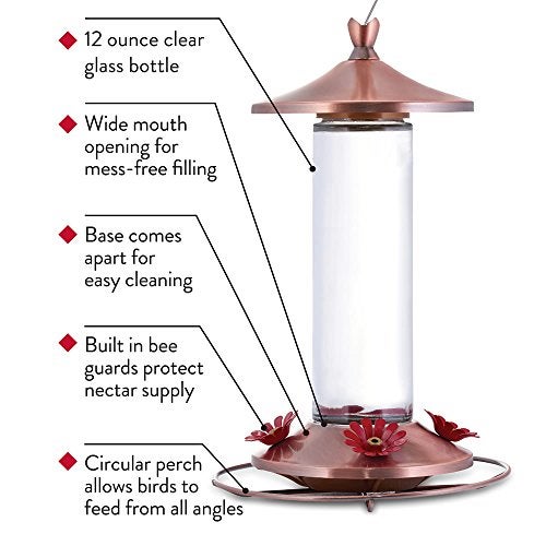 Perky-Pet 710B Elegant Glass Hummingbird Feeder, Copper - Image 3