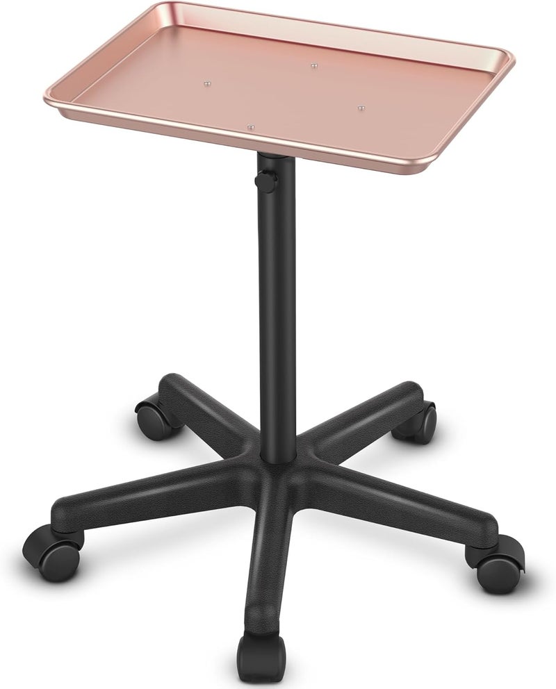 TASALON TASALON Premium Aluminum Salon Tray on Wheels, Height Adjustable Salon Tattoo Cart Tray, Styling Tray for Hair Salon, Instrument Rolling Beauty Tray, Color Trays for Salon, Hairstylist Tray, Rose Gold 