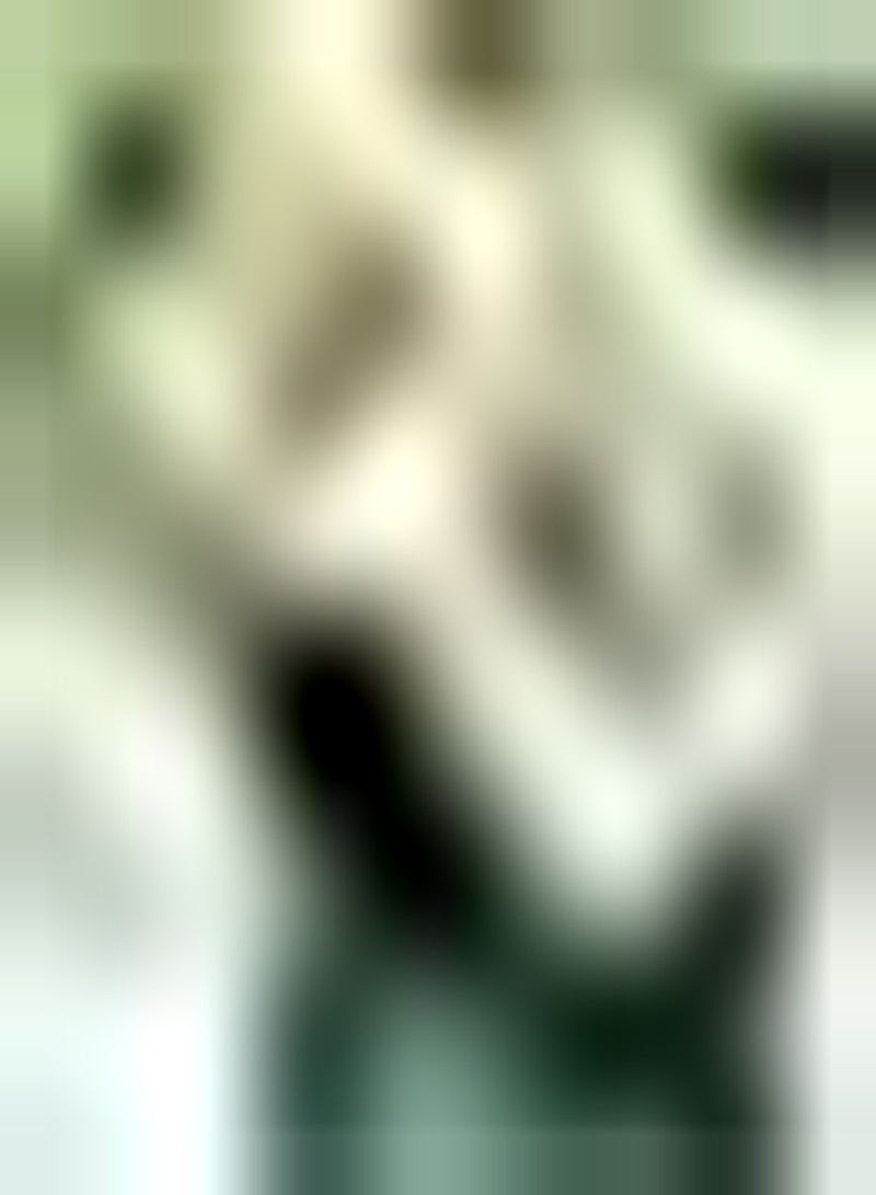 GGOOT Lot de 20 graines d'hortensia Blanc Pour Plantation en Plein air Odeur fraîche Bloom en été Fleurs d'héritage Arôme Puissant Variété d'entrée de gamme Devenez Votre Maison Jardin Grande décoration - Image 1