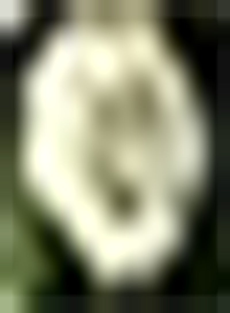 GGOOT Lot de 20 graines d'hortensia Blanc Pour Plantation en Plein air Odeur fraîche Bloom en été Fleurs d'héritage Arôme Puissant Variété d'entrée de gamme Devenez Votre Maison Jardin Grande décoration - Image 2