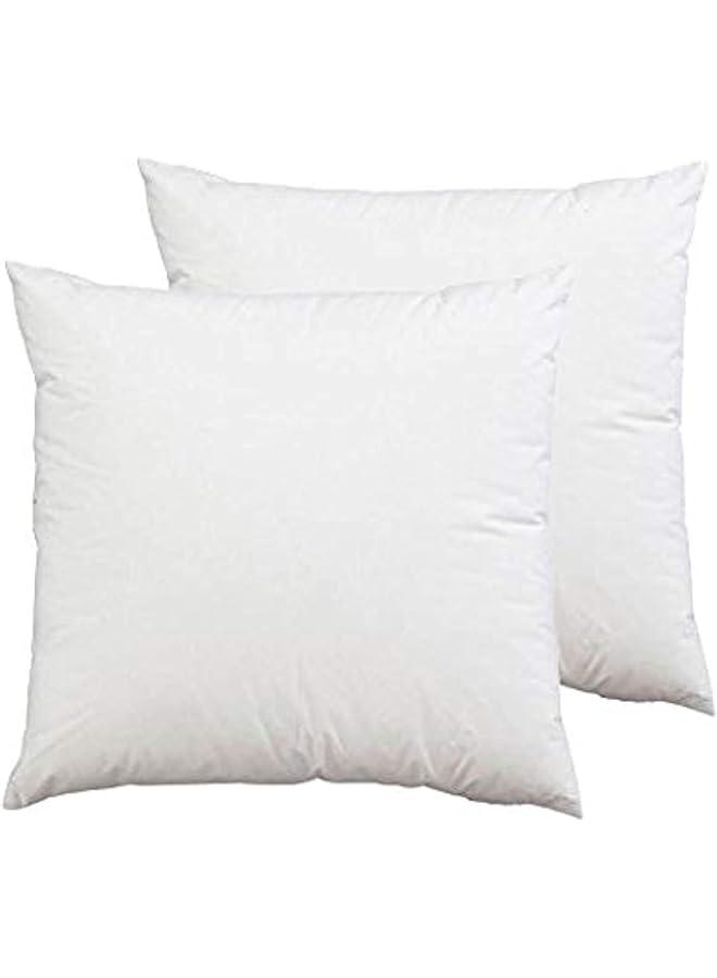 King Queen وسادة فندقية ناعمة 2 قطعة - 45 × 45 سم، سادة-2، بيضاء، بوليستر - Image 1
