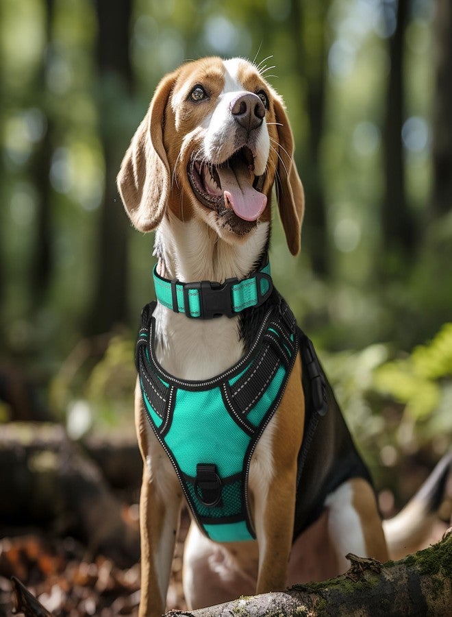 Joytale Reflective Dog Collar, Soft Neoprene Padded, Metal D-Ring, Nylon Pet Collar Adjustable for Extra Large Dogs, Teal, XL - Image 2