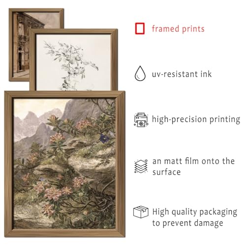ANERZA 16 PCS Framed Vintage Wall Art Decor, French Country Farmhouse Gallery Wall Frame Set Prints for Bedroom Bathroom, Rustic Landscape Posters for Living Room Aesthetic, Cottagecore Dorm Home Collage Kit - Image 3