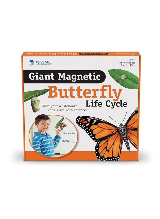 Learning Resources Learning Resources Butterfly Life Cycle 9 Write and Wipe Pieces Classroom Accessories Teaching Aids - Image 4