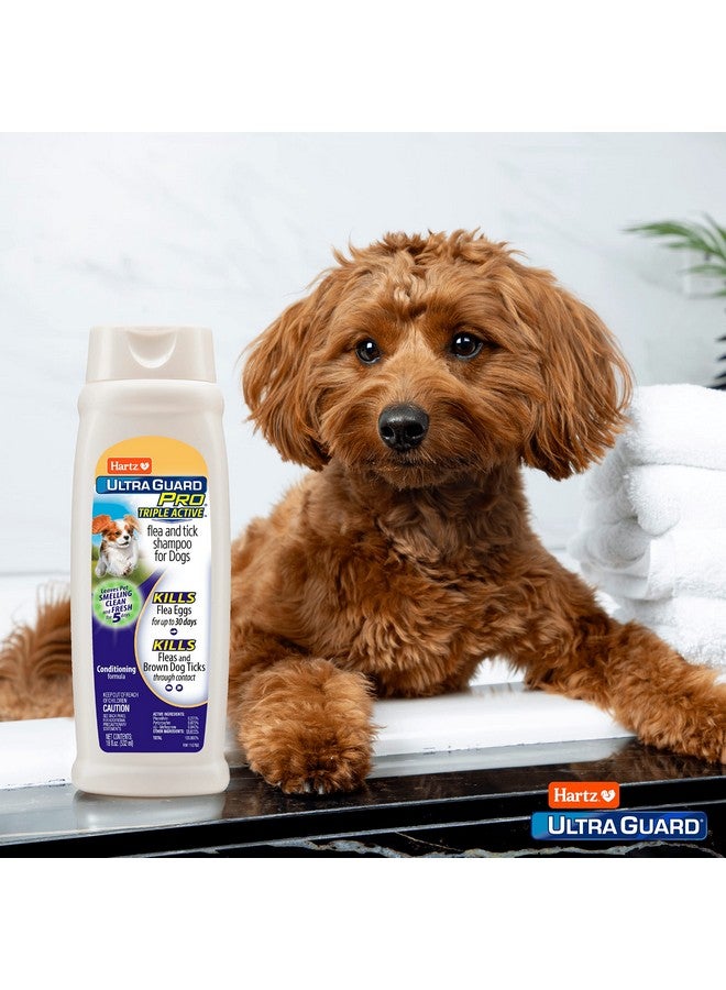 هارتز شامبو هارتز ألترا جارد برو ثلاثي المفعول ضد البراغيث والقراد للكلاب، تركيبة مرطبة، زجاجة سعة 18 أونصة - Image 4