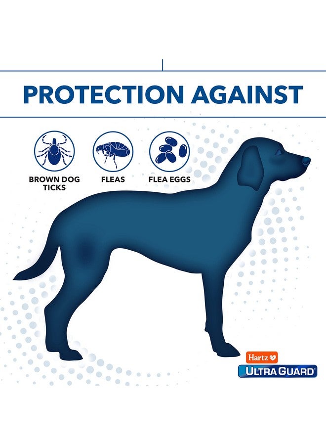هارتز شامبو هارتز ألترا جارد برو ثلاثي المفعول ضد البراغيث والقراد للكلاب، تركيبة مرطبة، زجاجة سعة 18 أونصة - Image 3